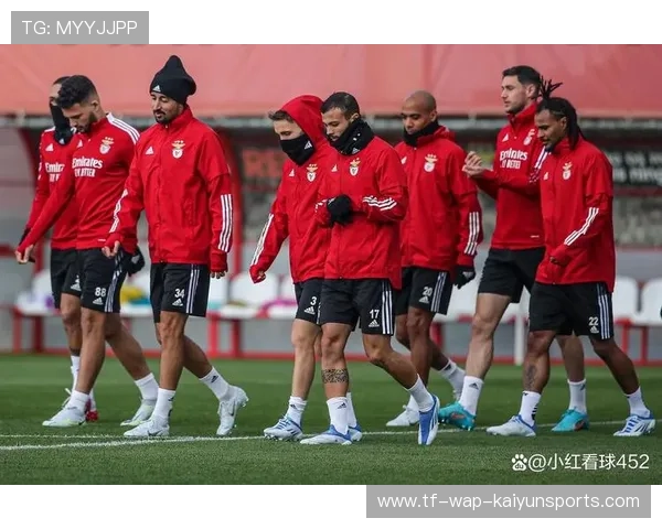 本菲卡球队防守体系令人刮目相看 本菲卡球队防守体系令人刮目相看